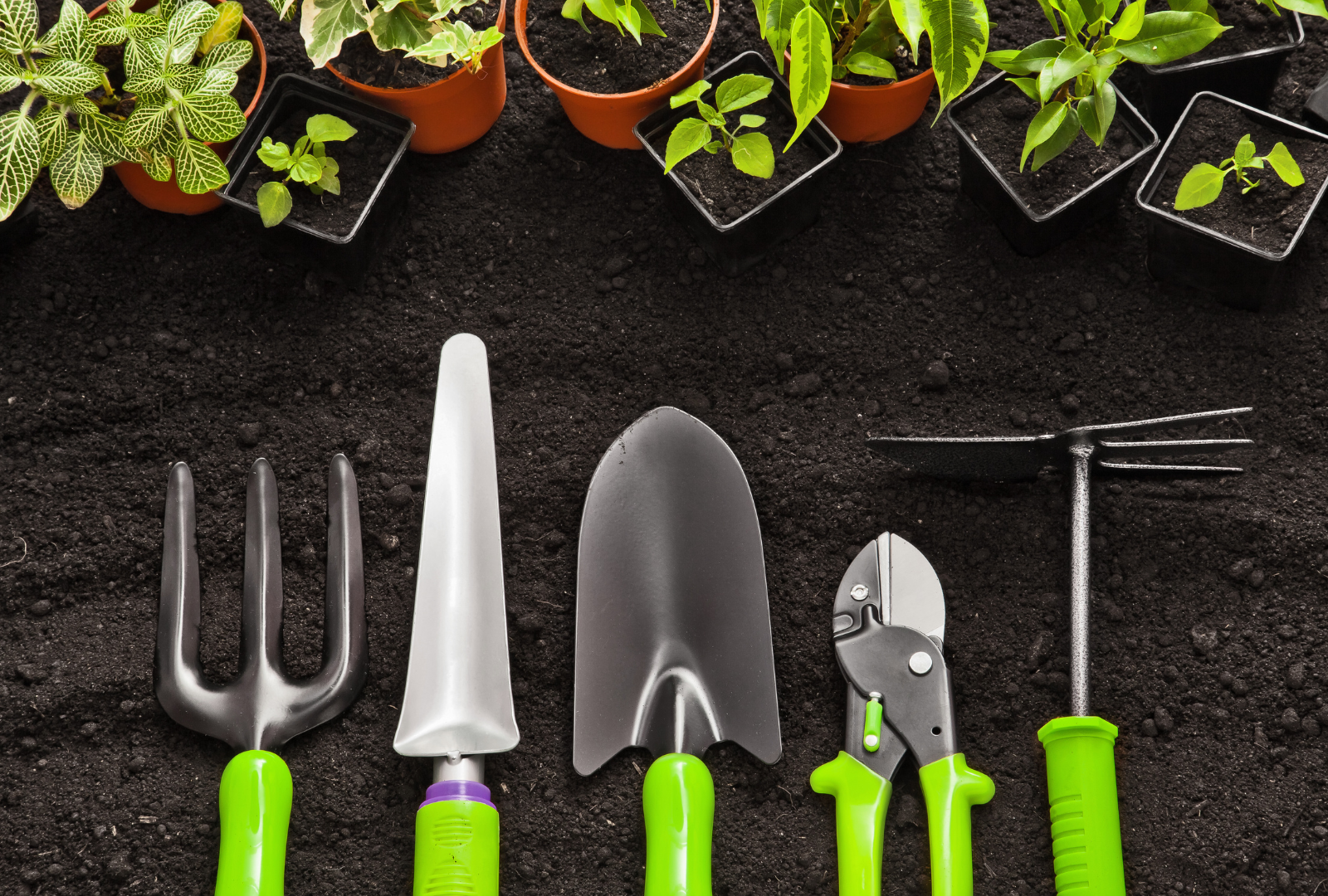 AgroTools Rental Ekibi